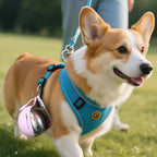 dog water bottle