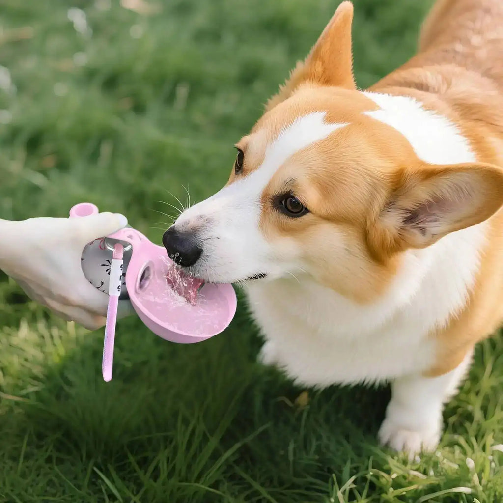 Folding Portable Water Bottle For Outdoor Pet Walking
